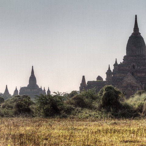Pagoda;s in the middle of the fields II : Birma, Yangon, myanmar, selectie Birma : Buddha (Siddarta) Gautama
