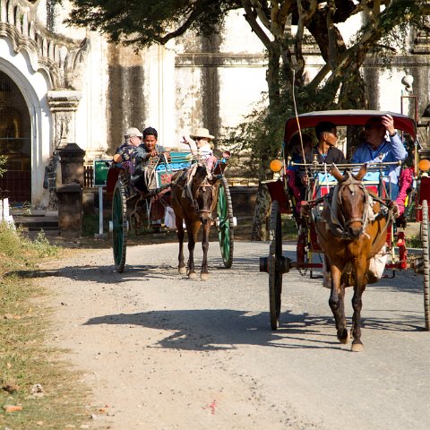 Must be tourists...  Taken at Latitude/Longitude:21.167515/94.863130.  km       (Map link) : Km to   in, Birma, Yangon, geo:lat=21.167515, geo:lon=94.863130, geotagged, myanmar, selectie Birma