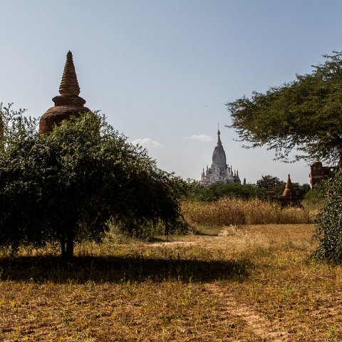 Bagan  Taken at Latitude/Longitude:21.160397/94.903828.  km       (Map link) : Km to   in, Birma, geo:lat=21.160397, geo:lon=94.903828, geotagged, myanmar