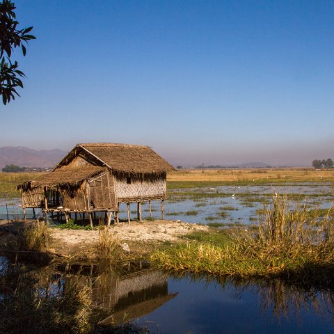 Near Inle lake  Taken at Latitude/Longitude:20.660806/96.916042.  km       (Map link) : Km to   in, Birma, geo:lat=20.660806, geo:lon=96.916042, geotagged, myanmar