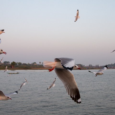 Boat Sittwe to Mrauk-U  Taken at Latitude/Longitude:20.161805/92.911888.  km       (Map link) : Km to   in, Birma, Yangon, geo:lat=20.161805, geo:lon=92.911888, geotagged, myanmar
