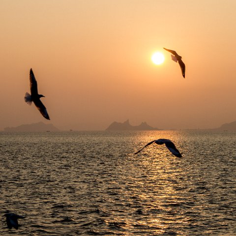 Sunrise Bay of Bengal  Taken at Latitude/Longitude:20.162636/92.913090.  km       (Map link) : Km to   in, Birma, geo:lat=20.162636, geo:lon=92.913090, geotagged, myanmar