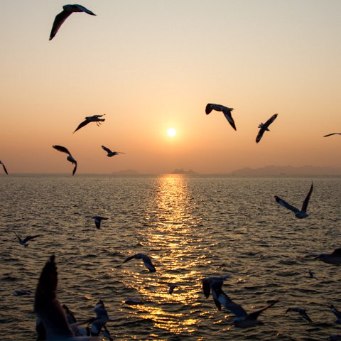 Boat Sittwe to Mrauk-U  Taken at Latitude/Longitude:20.164886/92.914757.  km       (Map link) : Km to   in, Birma, Yangon, geo:lat=20.164886, geo:lon=92.914757, geotagged, myanmar