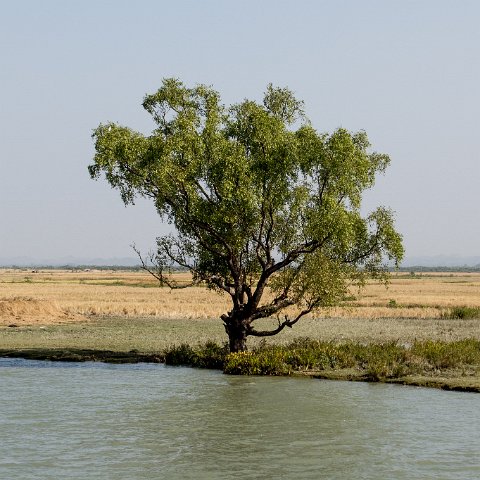 Boat Sittwe to Mrauk-U  Taken at Latitude/Longitude:20.511439/93.149676.  km       (Map link) : Km to   in, Birma, Yangon, geo:lat=20.511439, geo:lon=93.149676, geotagged, hdr basis, myanmar