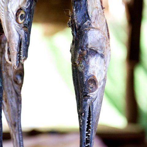 Market Mrauk-U : Birma, Yangon, hdr basis, myanmar