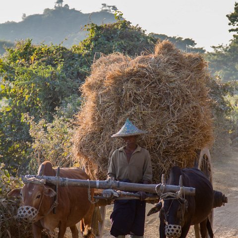 The old way  Taken at Latitude/Longitude:20.597812/93.204884.  km       (Map link) : Km to   in, Birma, Yangon, geo:lat=20.597812, geo:lon=93.204884, geotagged, myanmar, selectie Birma