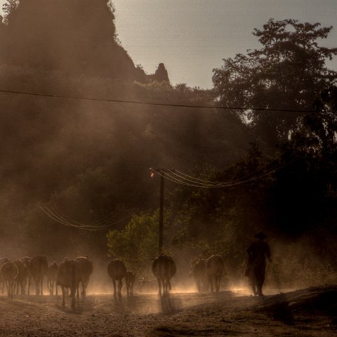 IMG 6555 6 7Enhancer : Birma, myanmar