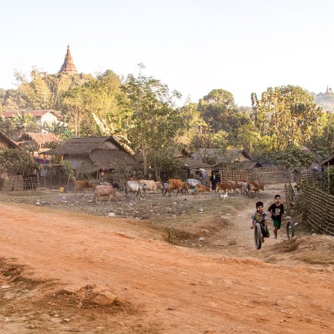 Playing  Taken at Latitude/Longitude:20.594617/93.198067.  km       (Map link) : Km to   in, Birma, Yangon, geo:lat=20.594617, geo:lon=93.198067, geotagged, myanmar, selectie Birma