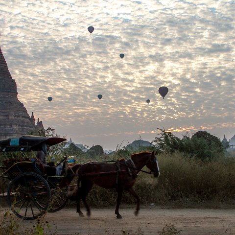 Balloons  Taken at Latitude/Longitude:21.167089/94.865437.  km       (Map link) : Km to   in, Birma, Yangon, geo:lat=21.167089, geo:lon=94.865437, geotagged, myanmar, selectie Birma