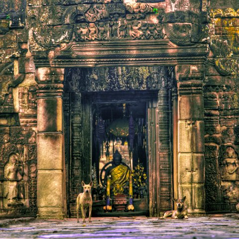 Cambodia : Cambodia Cambodja 2008 hdr, Creative