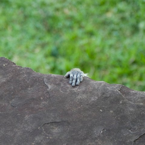 Cambodia : Cambodia Cambodja 2008, angkor wat