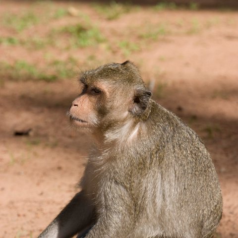 Cambodia : Cambodia Cambodja 2008