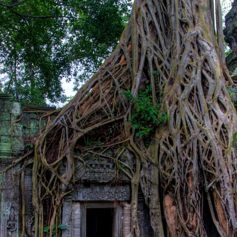 Cambodia : Cambodia Cambodja 2008 hdr