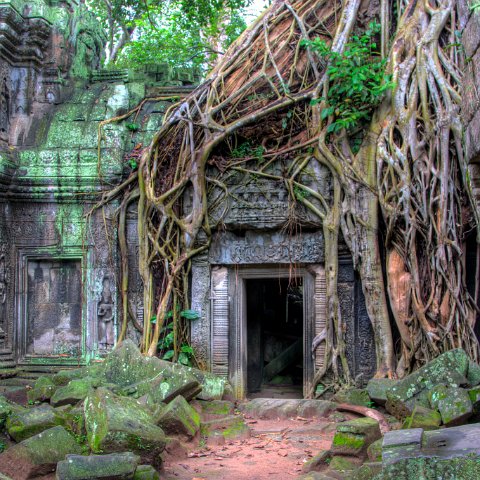 Cambodia : Cambodia Cambodja 2008 hdr
