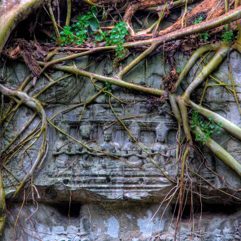 Cambodia : Cambodia Cambodja 2008 hdr