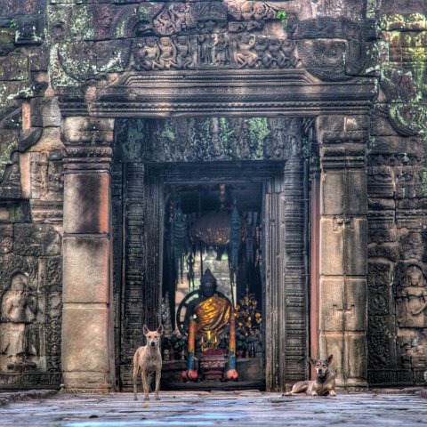 Cambodia : Cambodia Cambodja 2008 hdr