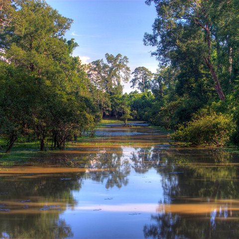 Cambodia  Tempels of Angkor : Cambodia Cambodja 2008 hdr
