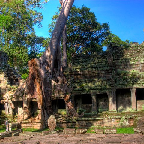 Cambodia  Tempels of Angkor : Cambodia Cambodja 2008 hdr