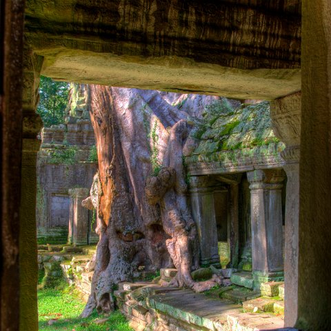 Cambodia  Tempels of Angkor : Cambodia Cambodja 2008 hdr