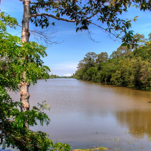 Cambodia  Tempels of Angkor : Cambodia Cambodja 2008 hdr