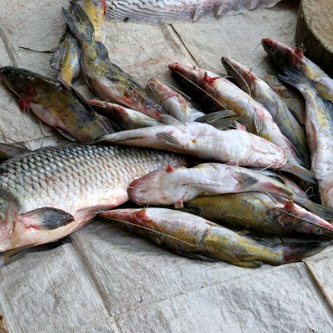 img 0298  Cambodja 2006