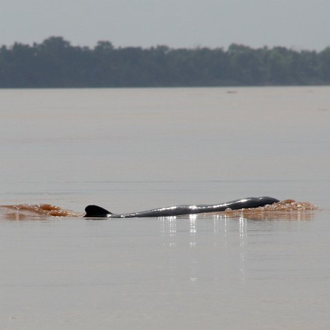 img 0380  Cambodja 2006