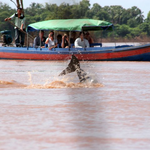 img 0413  Cambodja 2006