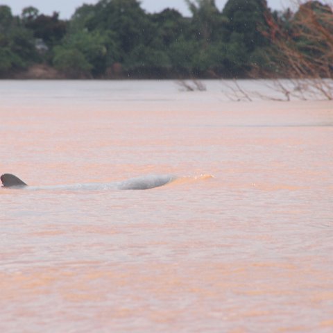 img 0458  Cambodja 2006