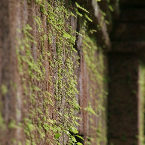 img 1835  Cambodja 2006