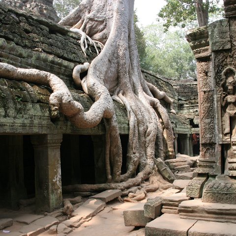 img 1964  Cambodja 2006