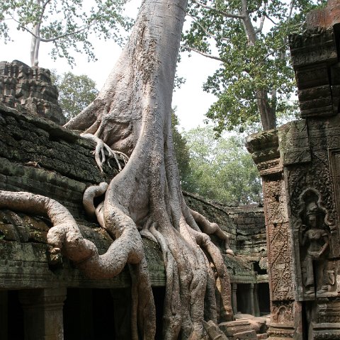 img 1967  Cambodja 2006