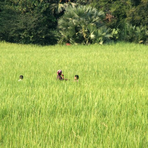 img 2116  Cambodja 2006
