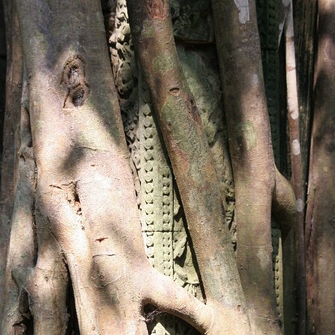 img 2168  Cambodja 2006