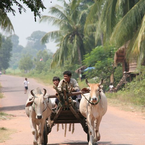 img 2232  Cambodja 2006