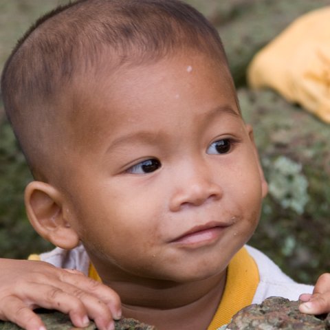 Cambodia : Cambodia Cambodja 2008, Creative