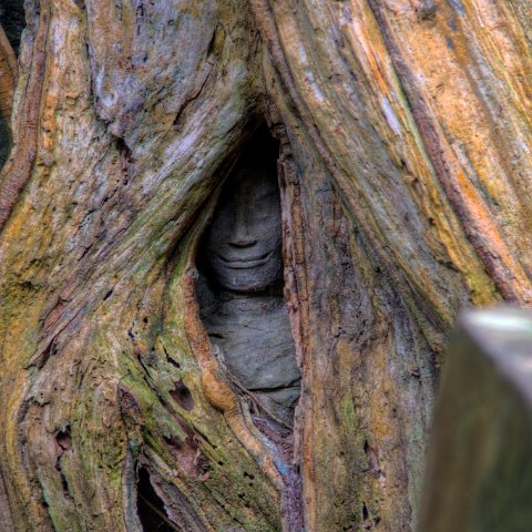 Cambodia : Cambodia Cambodja 2008 hdr