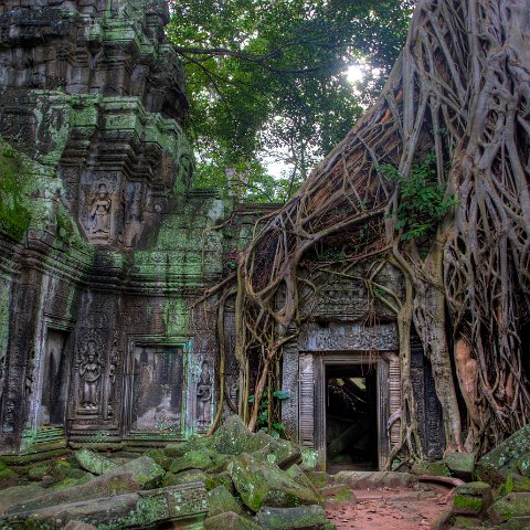 MG 0175 6 7Enhancer stitch