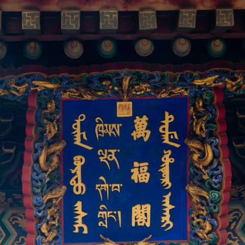 Art-6 : 2011, China, basis