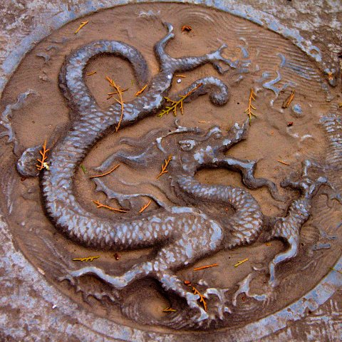 Art-8 : 2011, China, basis