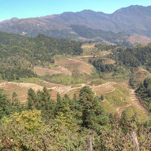 China-471 : 2011, 202, China, hdr result