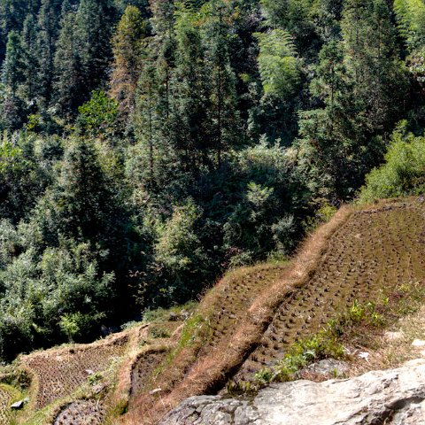 China-485 : 2011, 202, China, hdr result, panorama