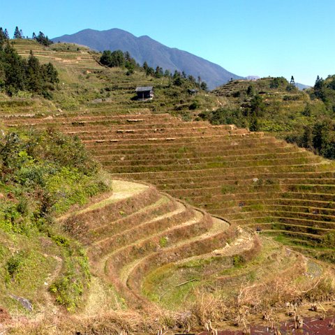China-486 : 2011, 202, China, hdr result, panorama