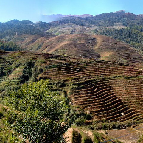 China-489 : 2011, 202, China, hdr result, panorama