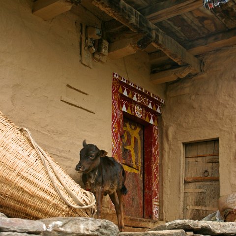 img08828  Journey through Ladakh India 2004