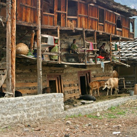 img08856  Journey through Ladakh India 2004