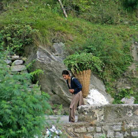 img08971  Journey through Ladakh India 2004