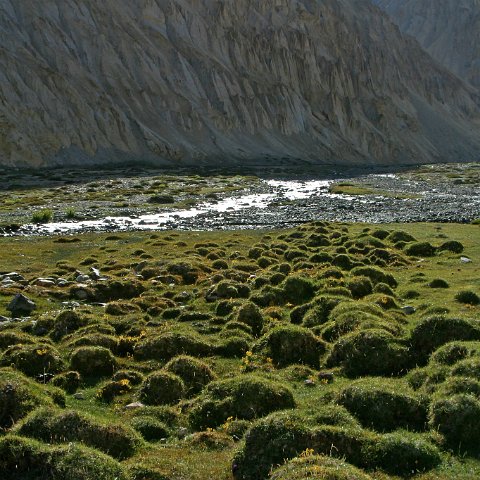 img10527  Journey through Ladakh India 2004