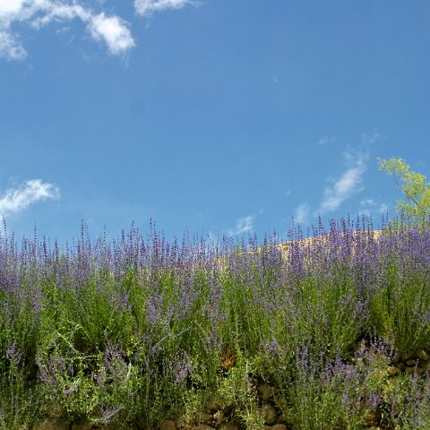 img11097  Journey through Ladakh India 2004