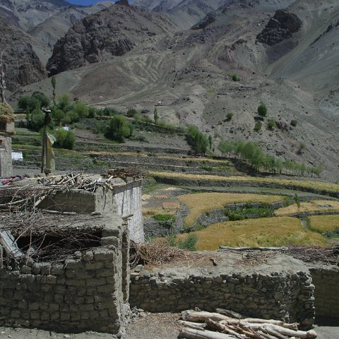 img11206  Journey through Ladakh India 2004