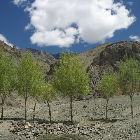 img11214  Journey through Ladakh India 2004